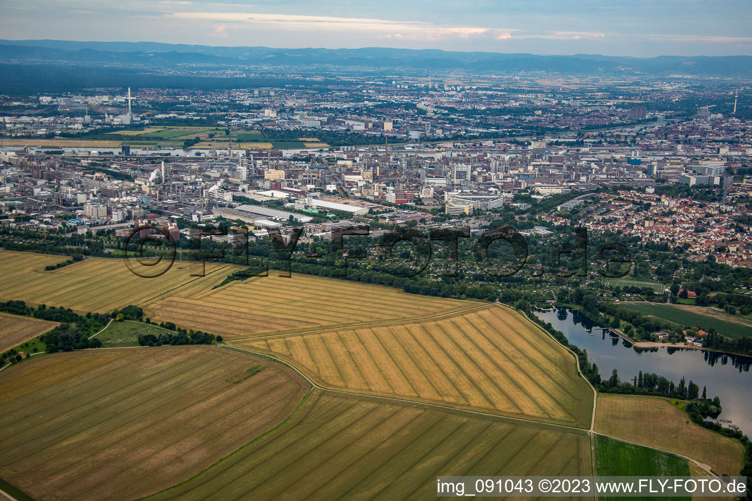 Vue aérienne de BASF de l'ouest à le quartier Friesenheim in Ludwigshafen am Rhein dans le département Rhénanie-Palatinat, Allemagne