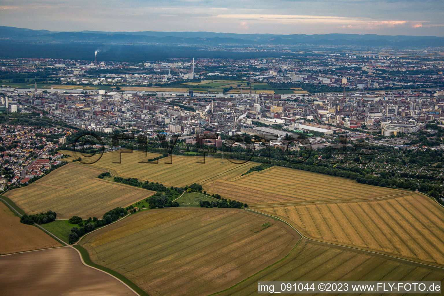 Photographie aérienne de BASF de l'ouest à le quartier Friesenheim in Ludwigshafen am Rhein dans le département Rhénanie-Palatinat, Allemagne