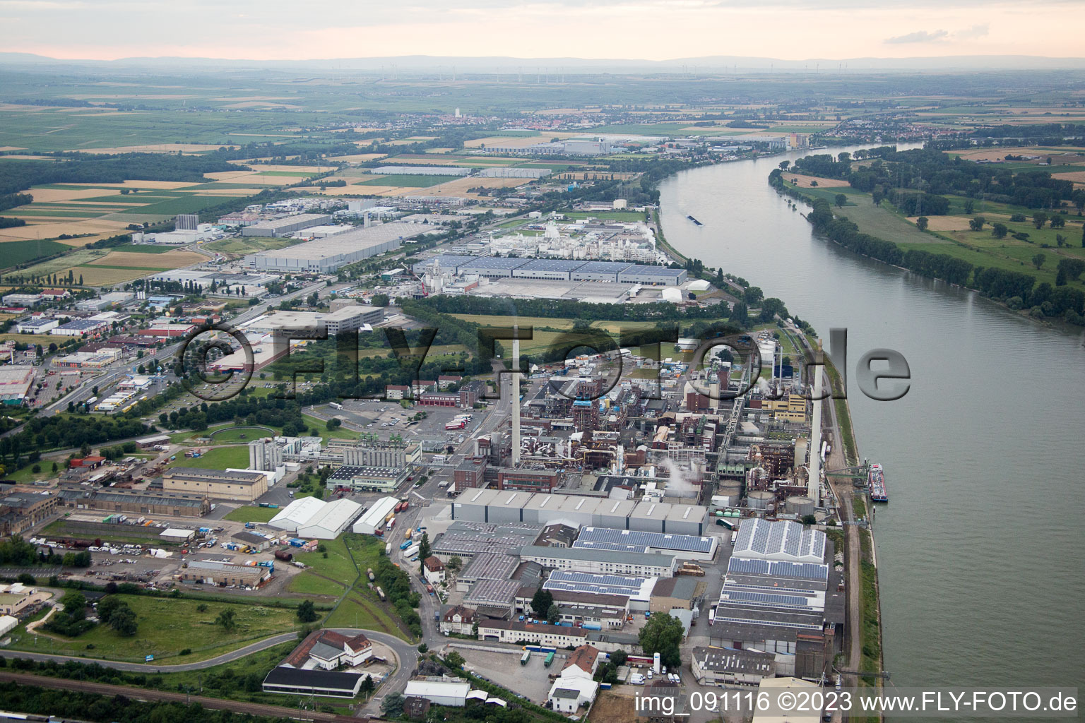 Vue aérienne de Synthomère Allemagne à Worms dans le département Rhénanie-Palatinat, Allemagne