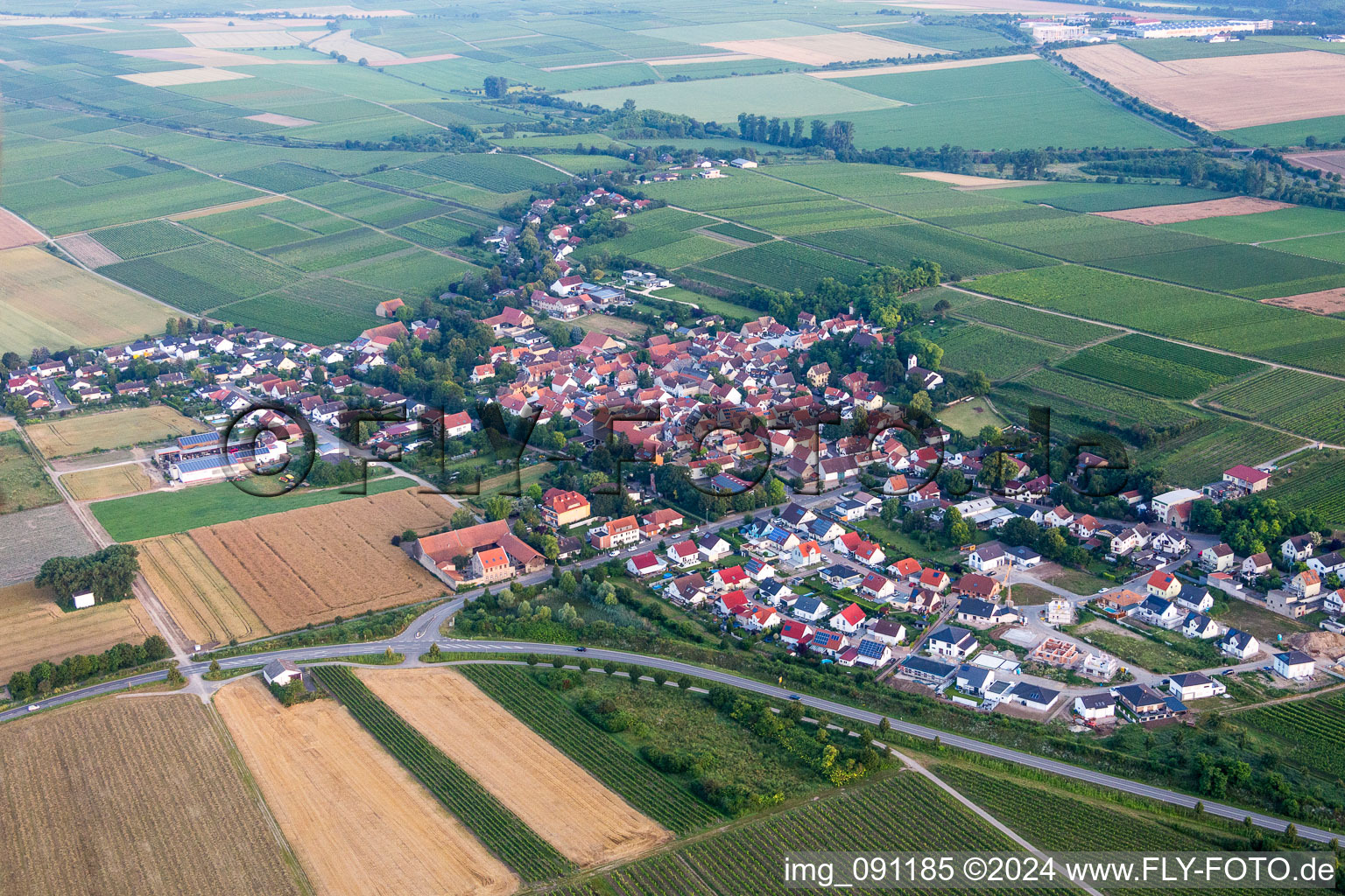Vue aérienne de Champs agricoles et surfaces utilisables à Hohen-Sülzen dans le département Rhénanie-Palatinat, Allemagne