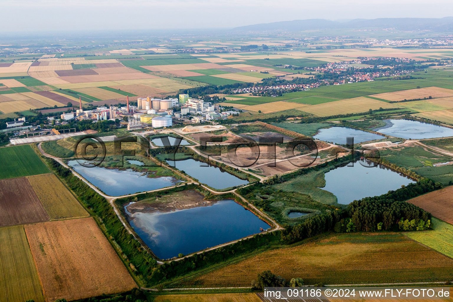Vue aérienne de Site industriel et bassin de décharge de Südzucker AG Mannheim/Ochsenfurt dans le district de Neuoffstein (Palatinat) à Obrigheim dans le département Rhénanie-Palatinat, Allemagne