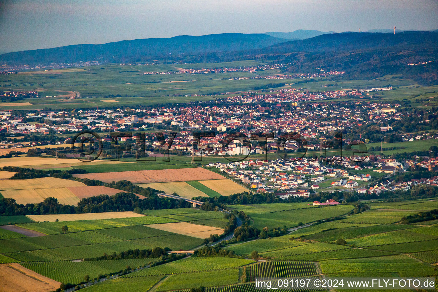 Vue aérienne de Du nord à le quartier Asselheim in Grünstadt dans le département Rhénanie-Palatinat, Allemagne