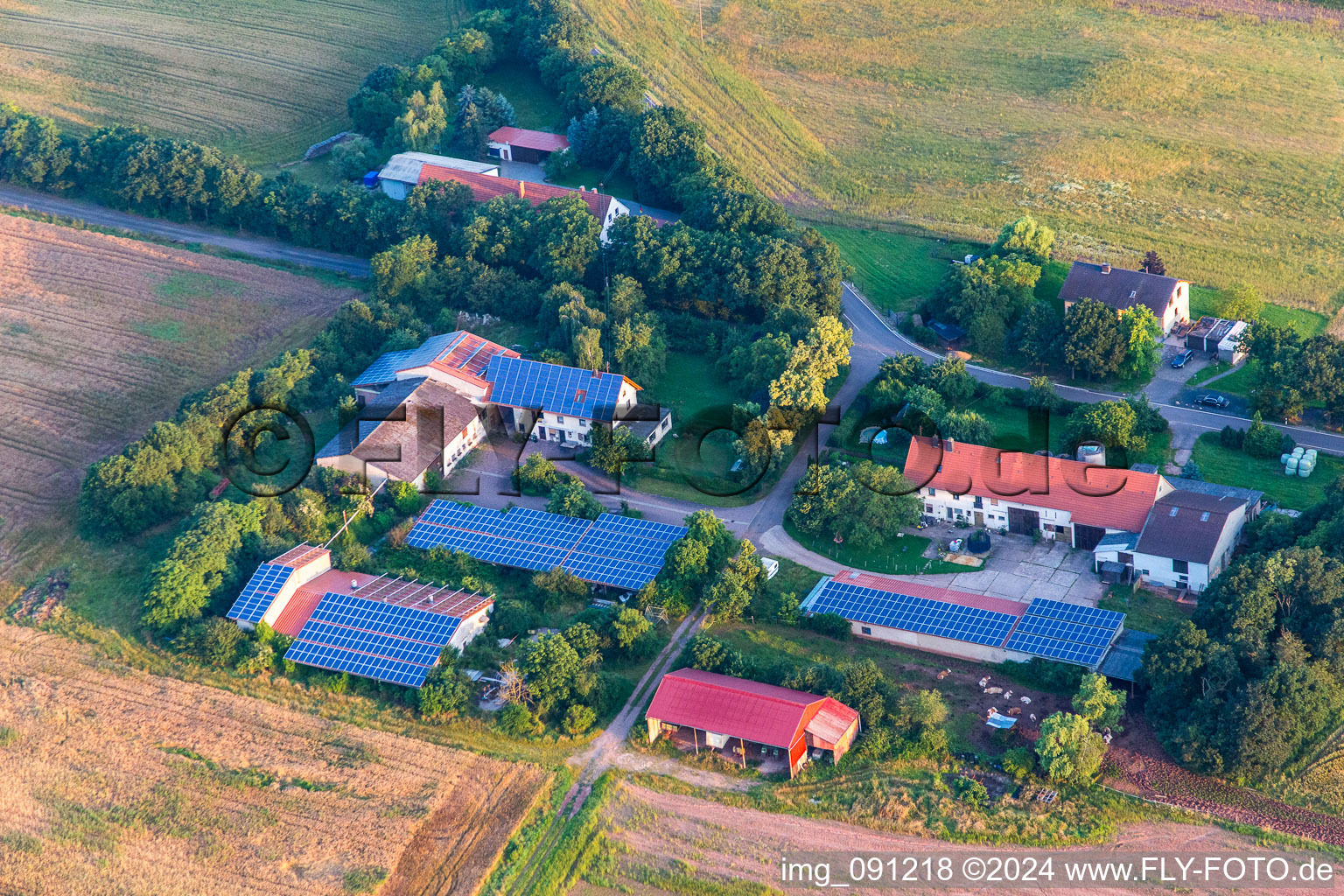 Vue aérienne de Göllheim dans le département Rhénanie-Palatinat, Allemagne