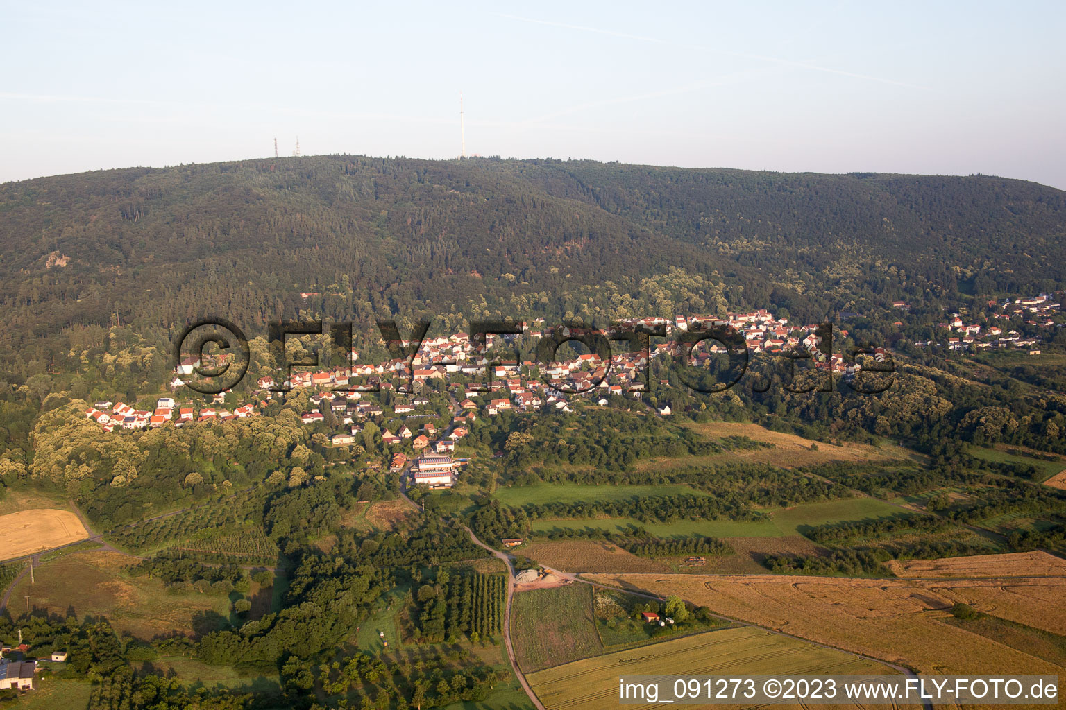 Vue aérienne de Dannenfels dans le département Rhénanie-Palatinat, Allemagne