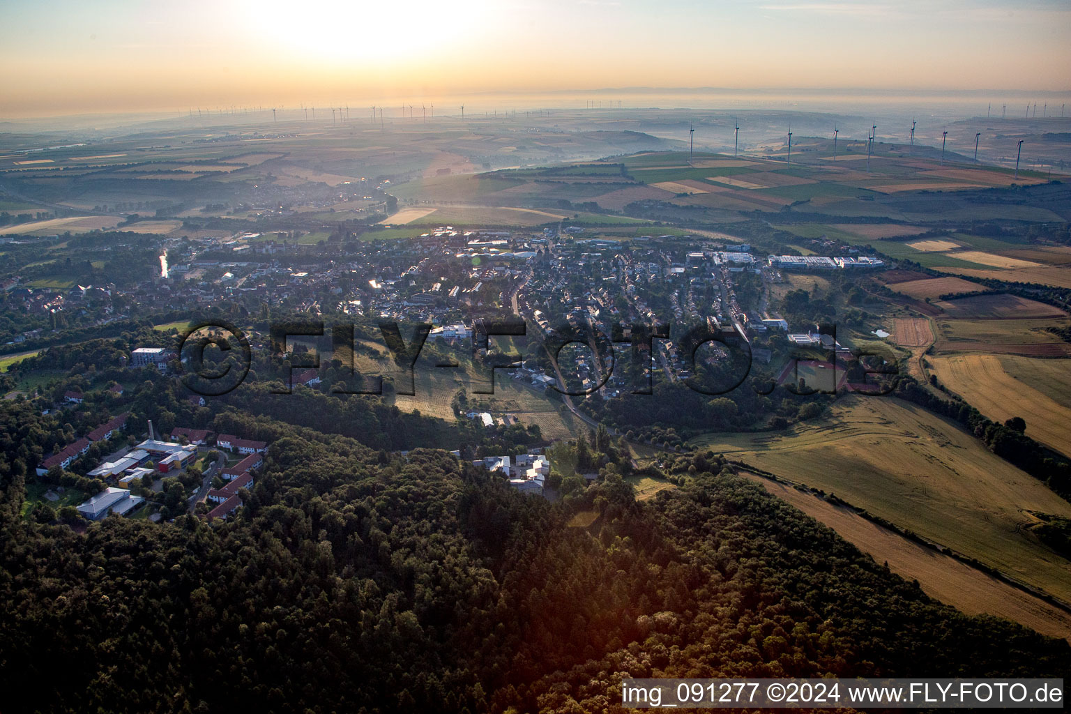 Vue aérienne de Vue des rues et des maisons des quartiers résidentiels à Kirchheimbolanden dans le département Rhénanie-Palatinat, Allemagne