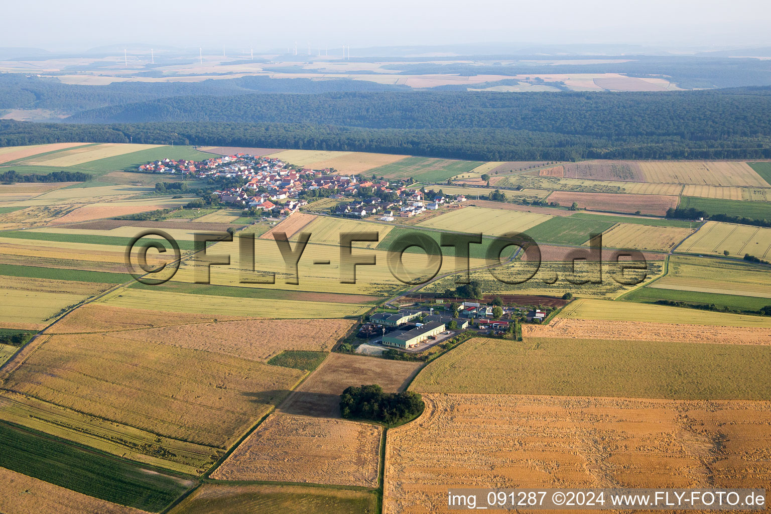 Vue aérienne de Orbis dans le département Rhénanie-Palatinat, Allemagne