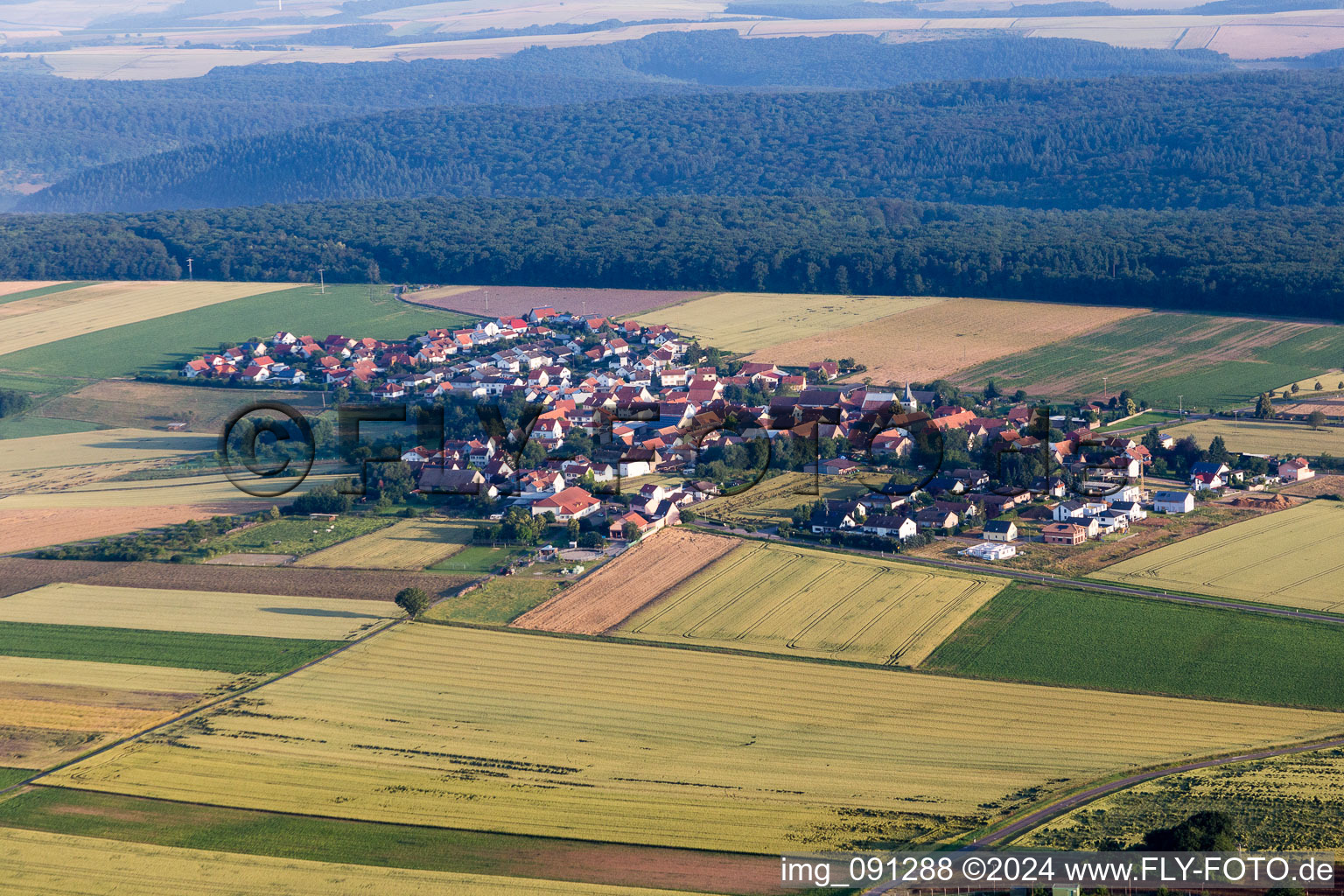 Vue aérienne de Champs agricoles et surfaces utilisables à Orbis dans le département Rhénanie-Palatinat, Allemagne