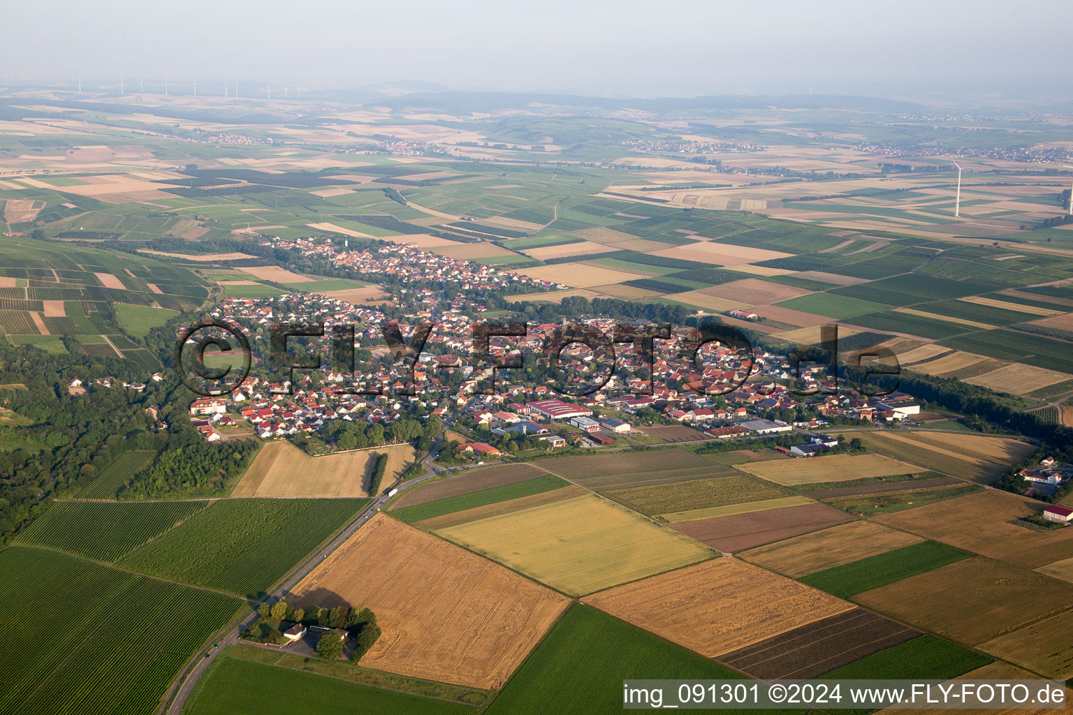 Vue aérienne de Flonheim dans le département Rhénanie-Palatinat, Allemagne