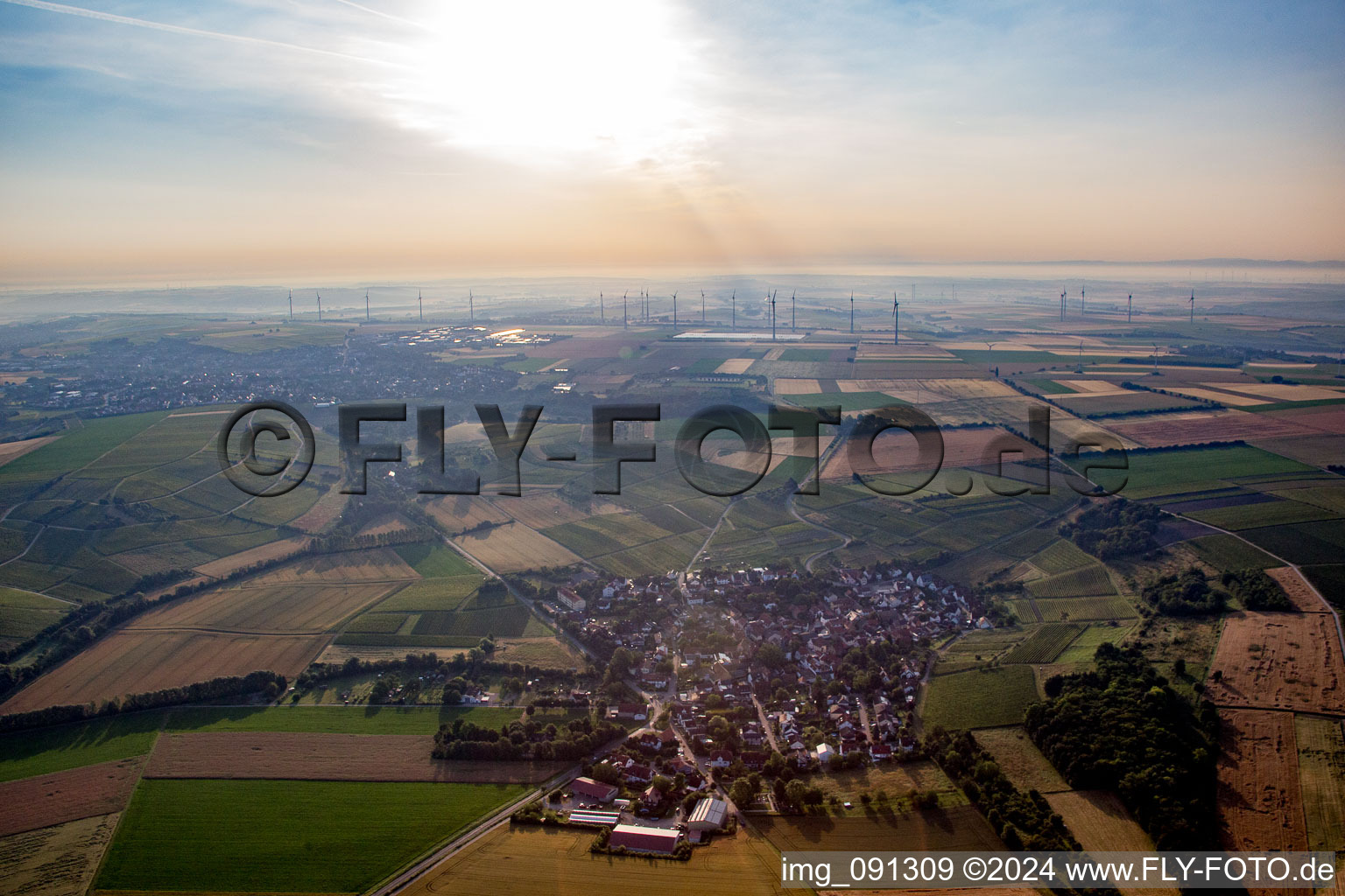 Vue aérienne de Quartier Rommersheim in Wörrstadt dans le département Rhénanie-Palatinat, Allemagne