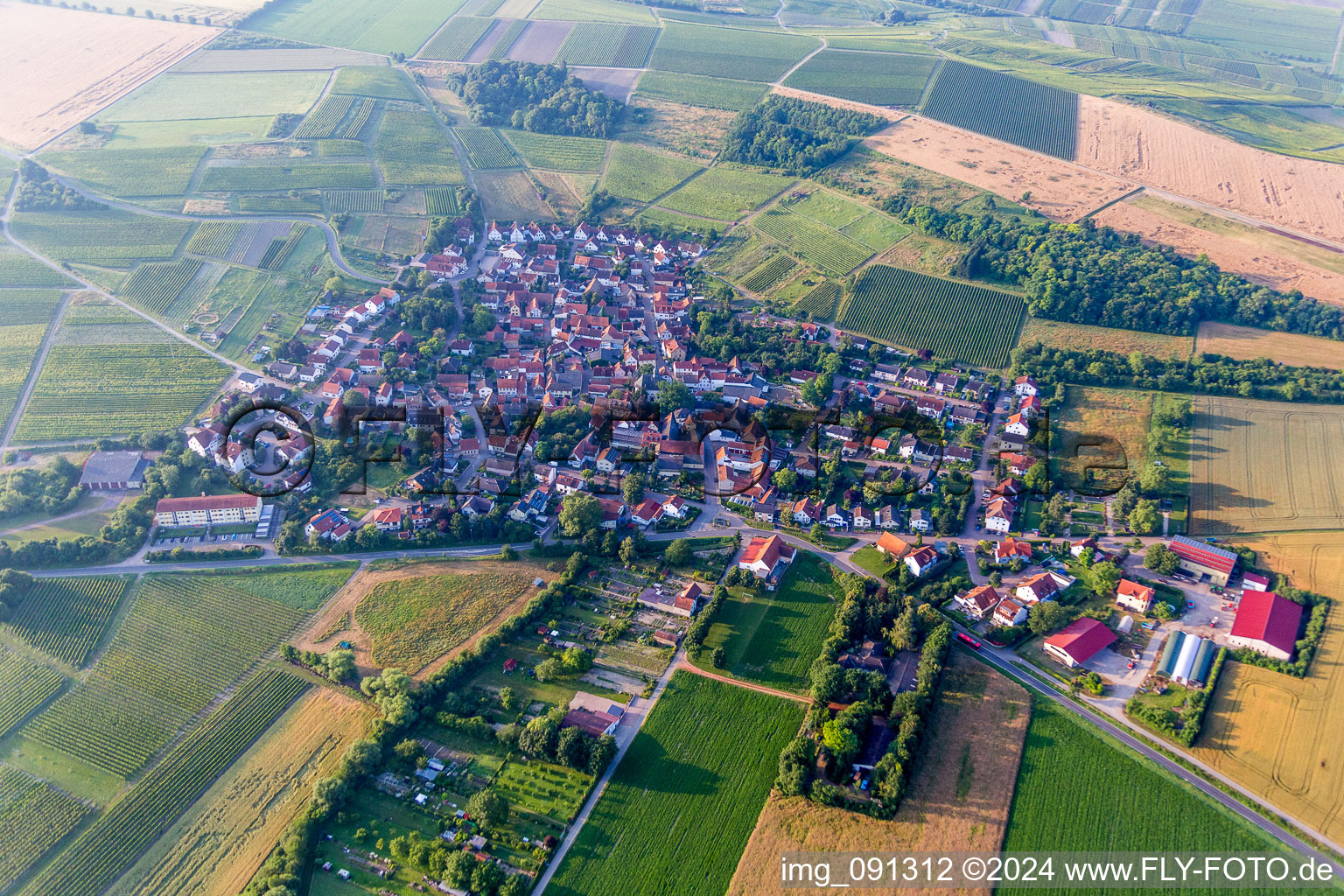 Photographie aérienne de Quartier Rommersheim in Wörrstadt dans le département Rhénanie-Palatinat, Allemagne