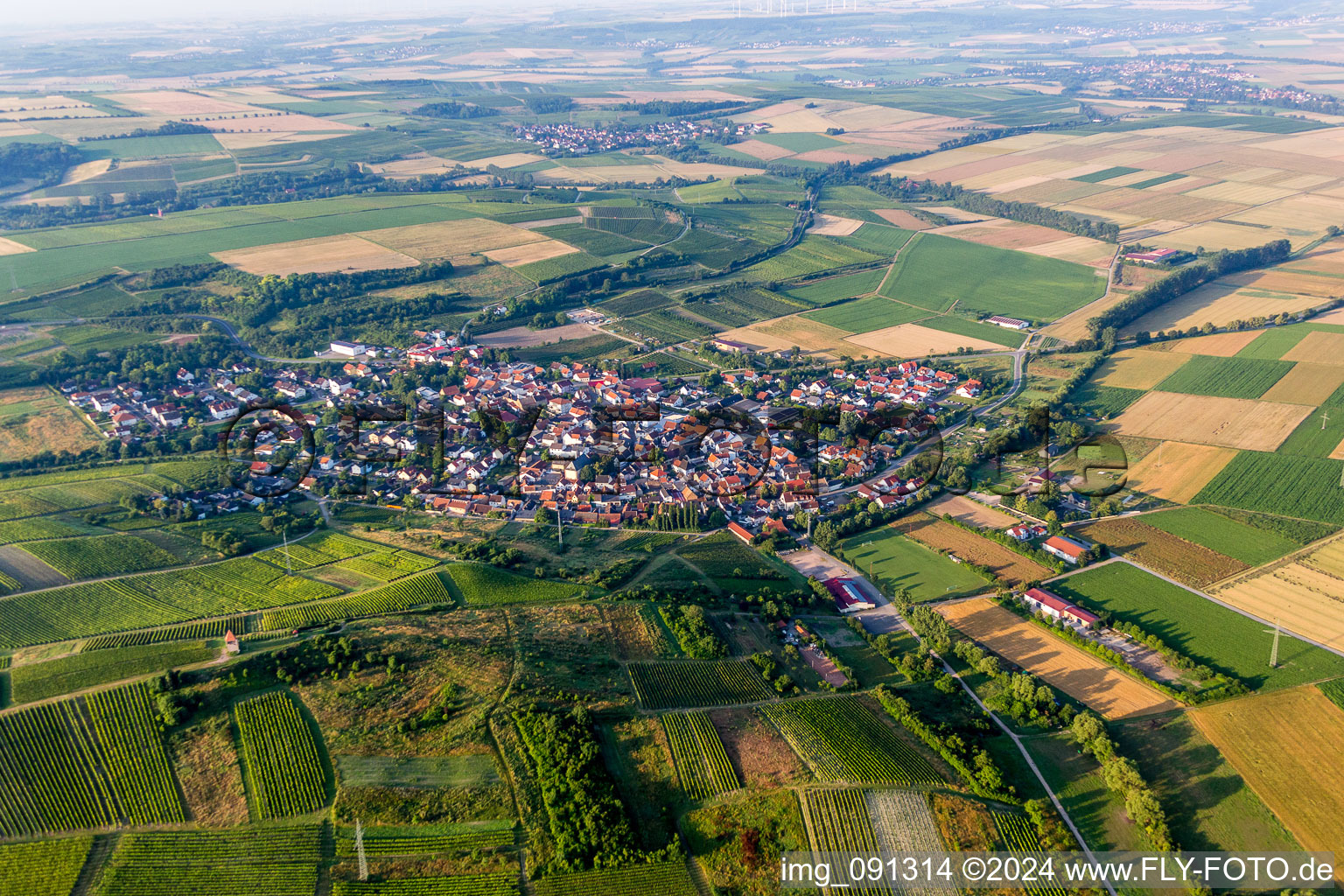 Vue aérienne de Champs agricoles et surfaces utilisables à Wörrstadt dans le département Rhénanie-Palatinat, Allemagne