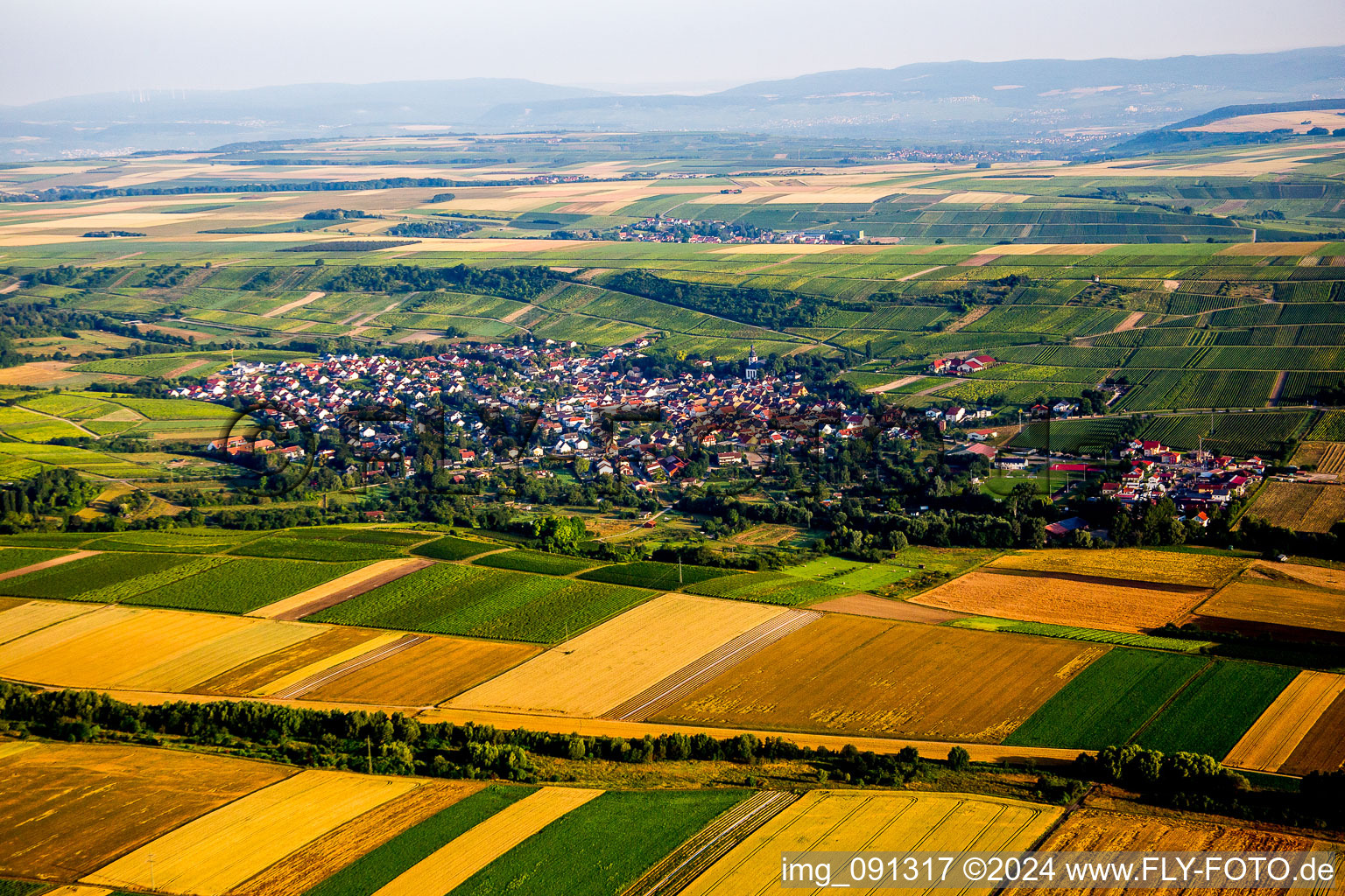 Vue aérienne de Champs agricoles et surfaces utilisables à le quartier Jugenheim in Jugenheim in Rheinhessen dans le département Rhénanie-Palatinat, Allemagne