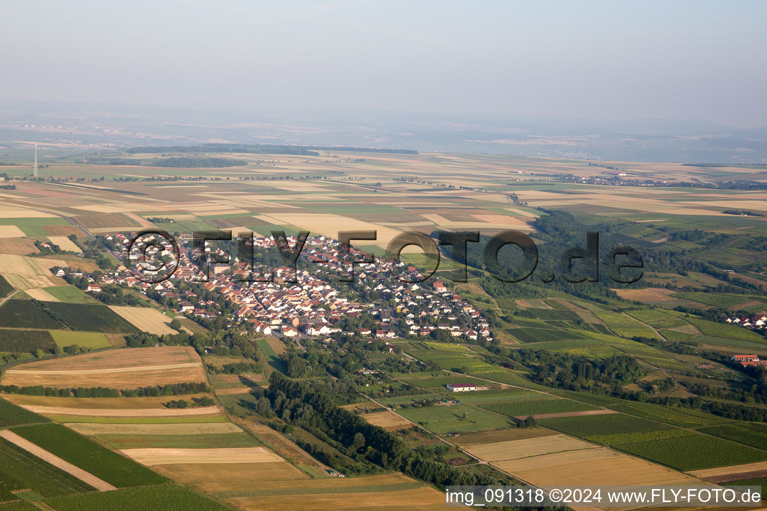 Vue aérienne de Partenheim dans le département Rhénanie-Palatinat, Allemagne