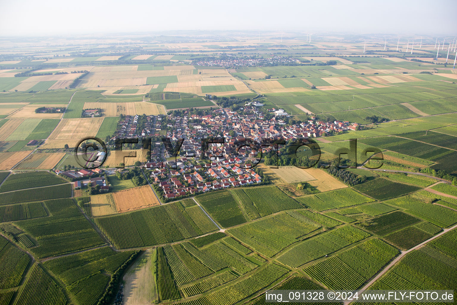 Vue aérienne de Udenheim dans le département Rhénanie-Palatinat, Allemagne