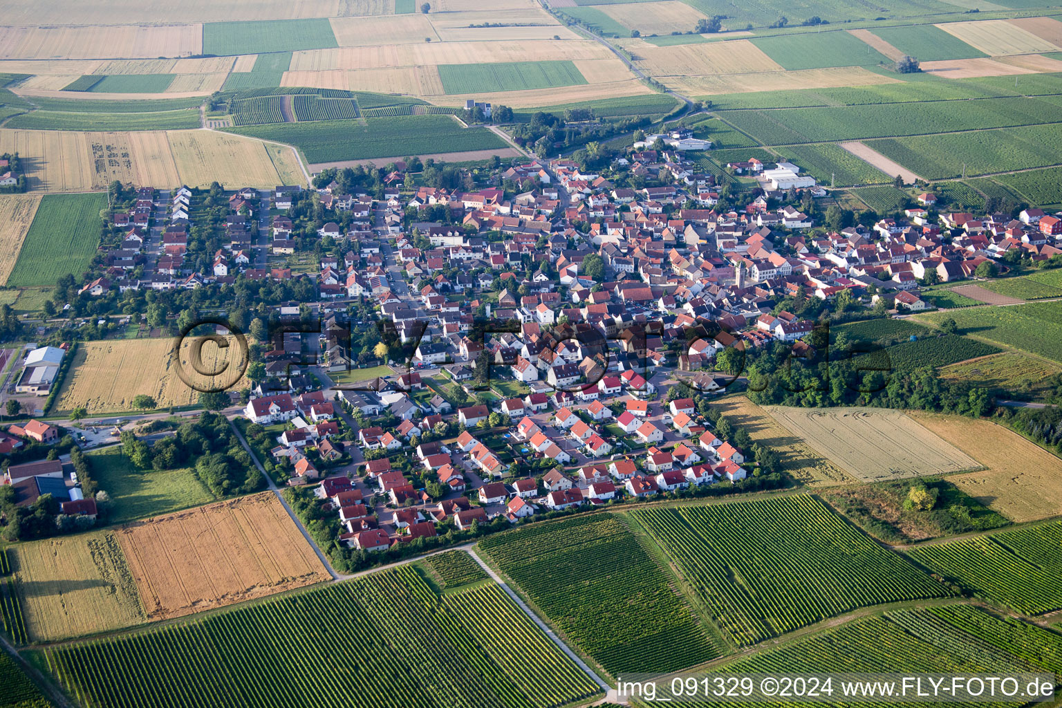 Vue aérienne de Udenheim dans le département Rhénanie-Palatinat, Allemagne