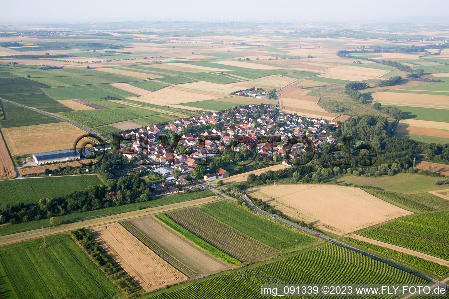 Photographie aérienne de Hesse rhénane à Friesenheim dans le département Rhénanie-Palatinat, Allemagne