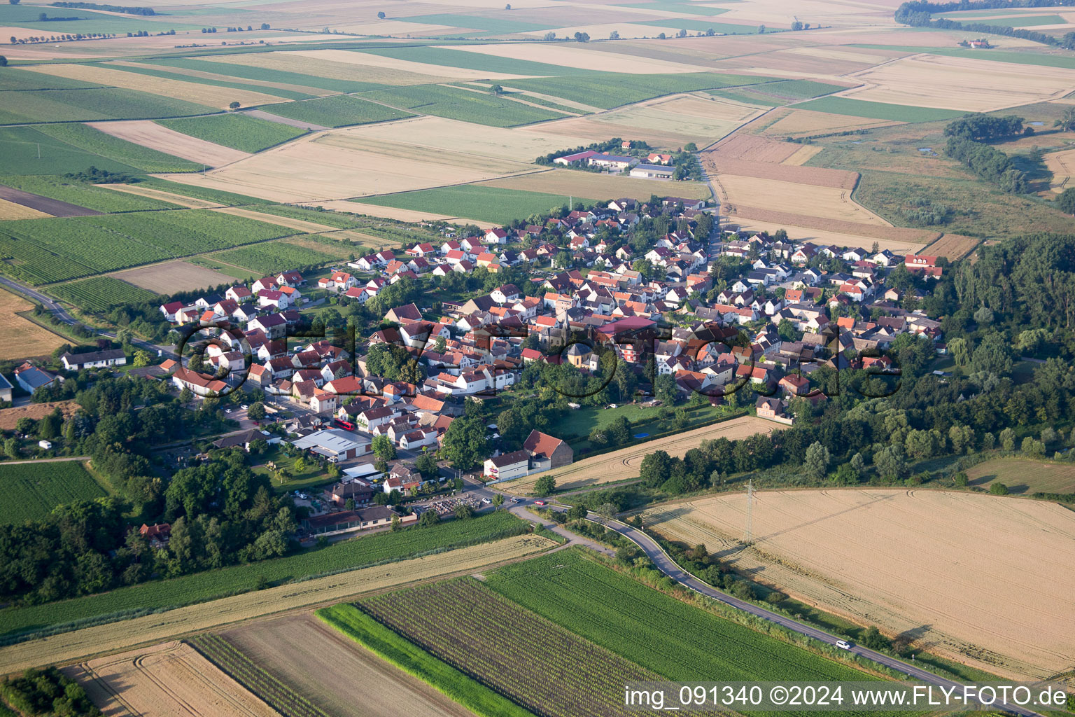 Vue aérienne de Champs agricoles et surfaces utilisables/Hesse rhénane à Friesenheim dans le département Rhénanie-Palatinat, Allemagne