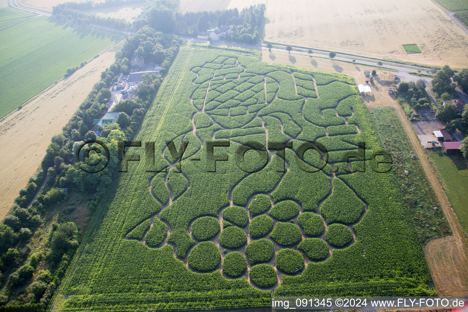 Vue aérienne de Labyrinthe - labyrinthe avec le contour d'une grappe de raisin dans un champ du quartier Wahlheimer Hof à Dalheim dans le département Rhénanie-Palatinat, Allemagne