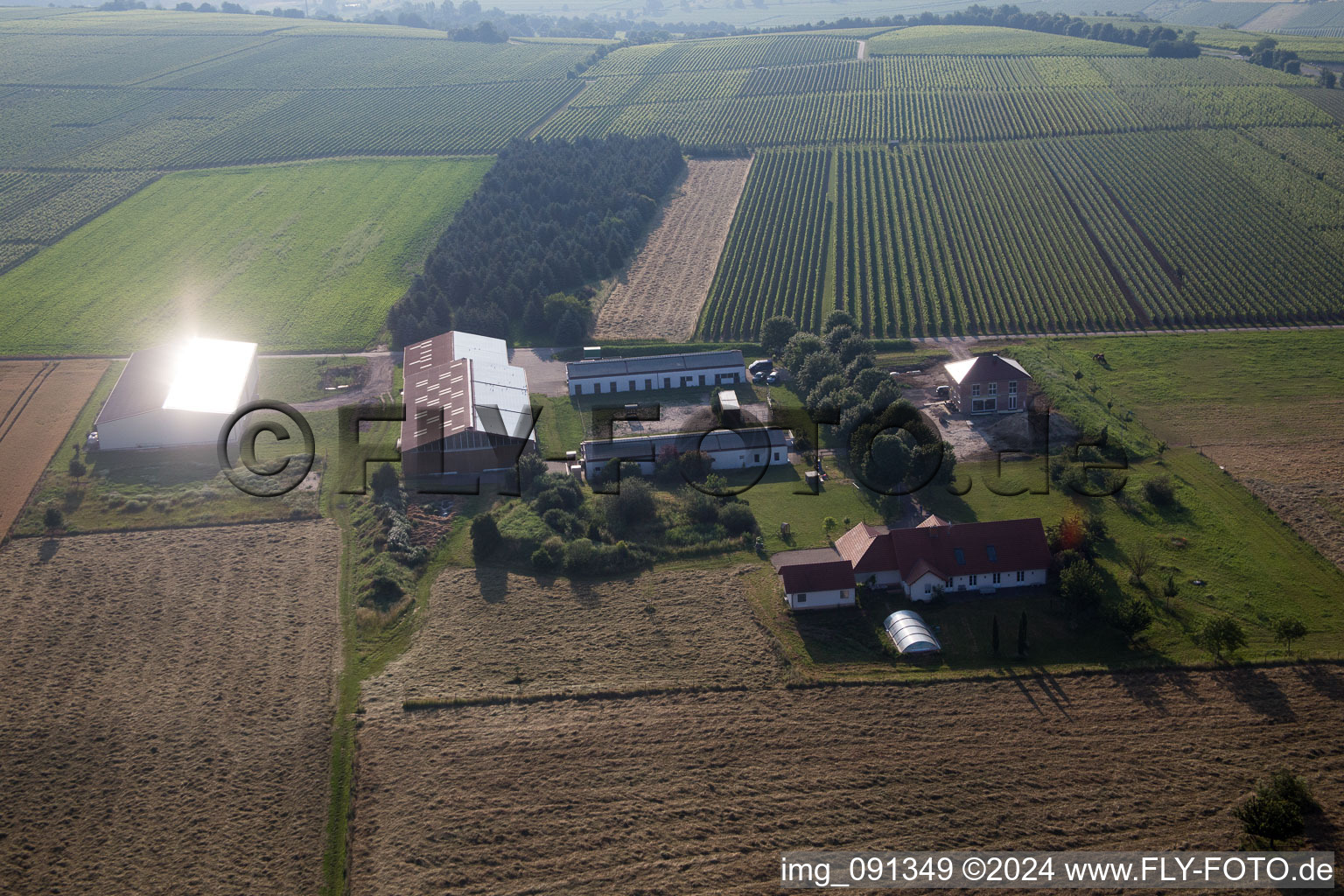 Vue aérienne de Ludwigshöhe dans le département Rhénanie-Palatinat, Allemagne