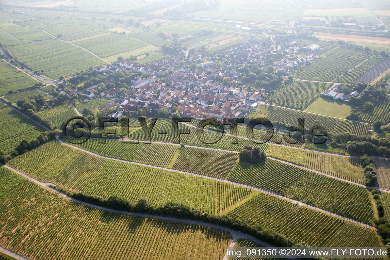 Vue oblique de Guntersblum dans le département Rhénanie-Palatinat, Allemagne