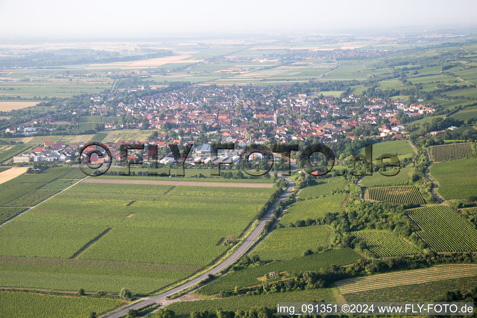 Guntersblum dans le département Rhénanie-Palatinat, Allemagne d'en haut