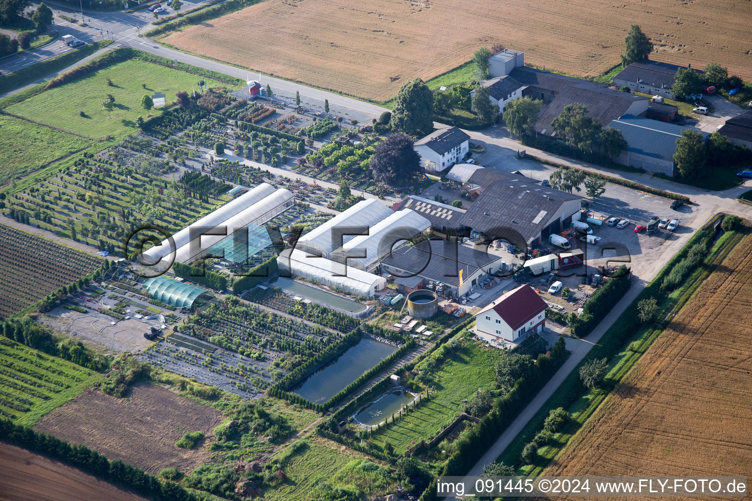 Vue aérienne de Zones de toit en verre dans les rangées de serres pour la floriculture du Lindenhof à le quartier Auerbach in Bensheim dans le département Hesse, Allemagne