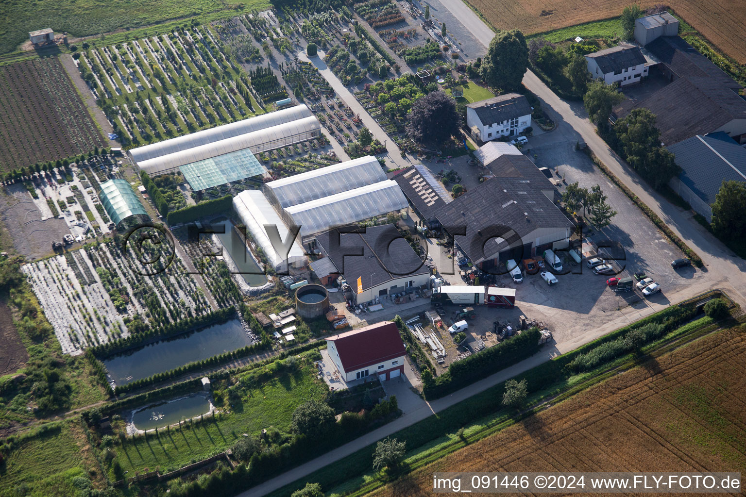 Vue aérienne de Zones de toit en verre dans les rangées de serres pour la floriculture du Lindenhof à le quartier Auerbach in Bensheim dans le département Hesse, Allemagne