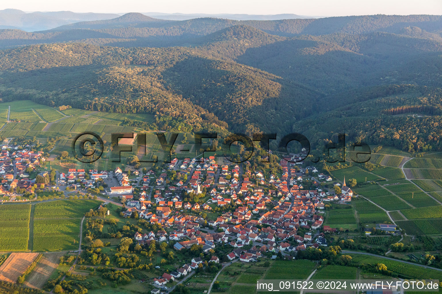 Vue aérienne de Vignobles et forêt en Rechtenbach à le quartier Rechtenbach in Schweigen-Rechtenbach dans le département Rhénanie-Palatinat, Allemagne