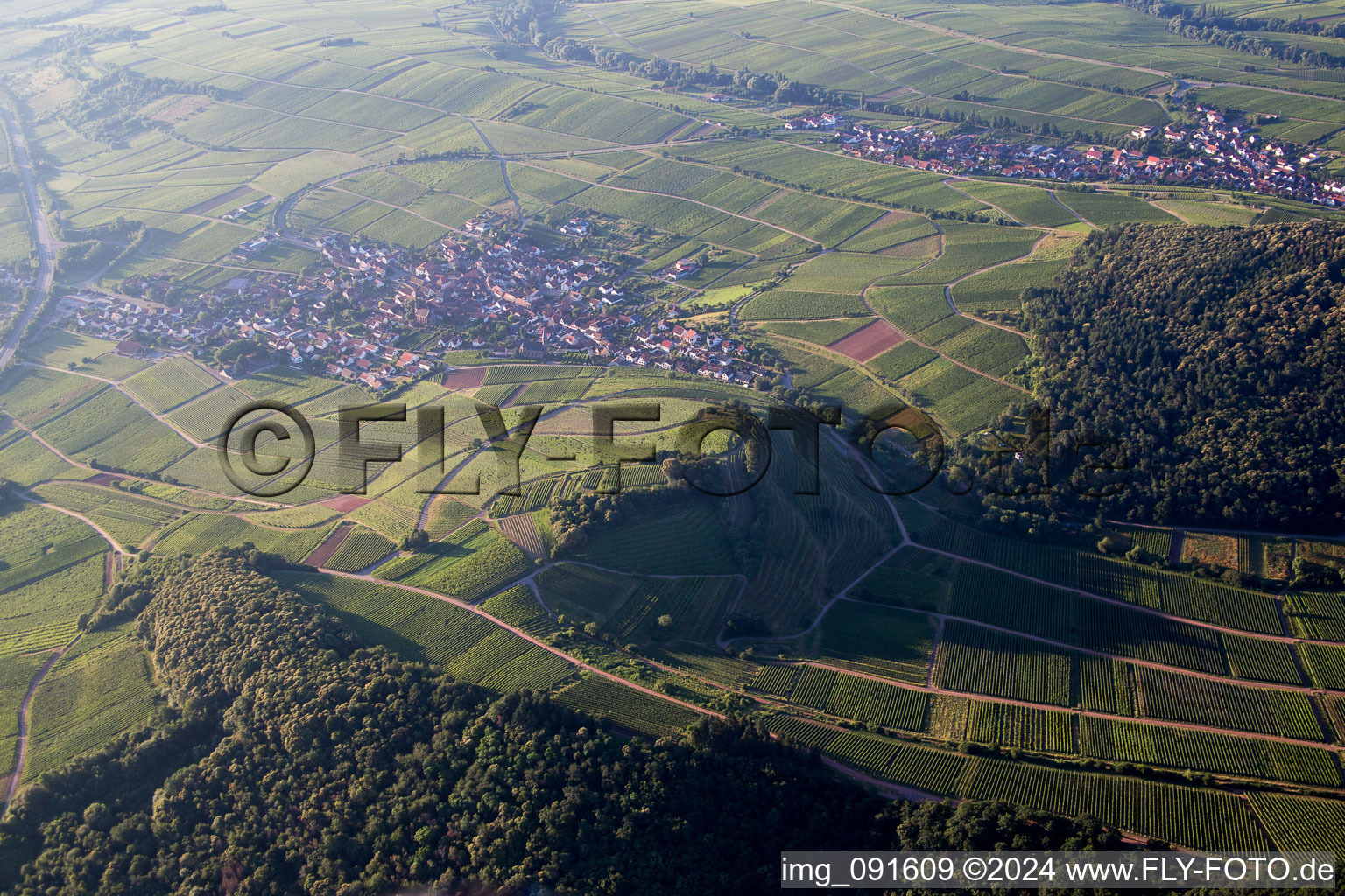 Vue aérienne de Birkweiler dans le département Rhénanie-Palatinat, Allemagne