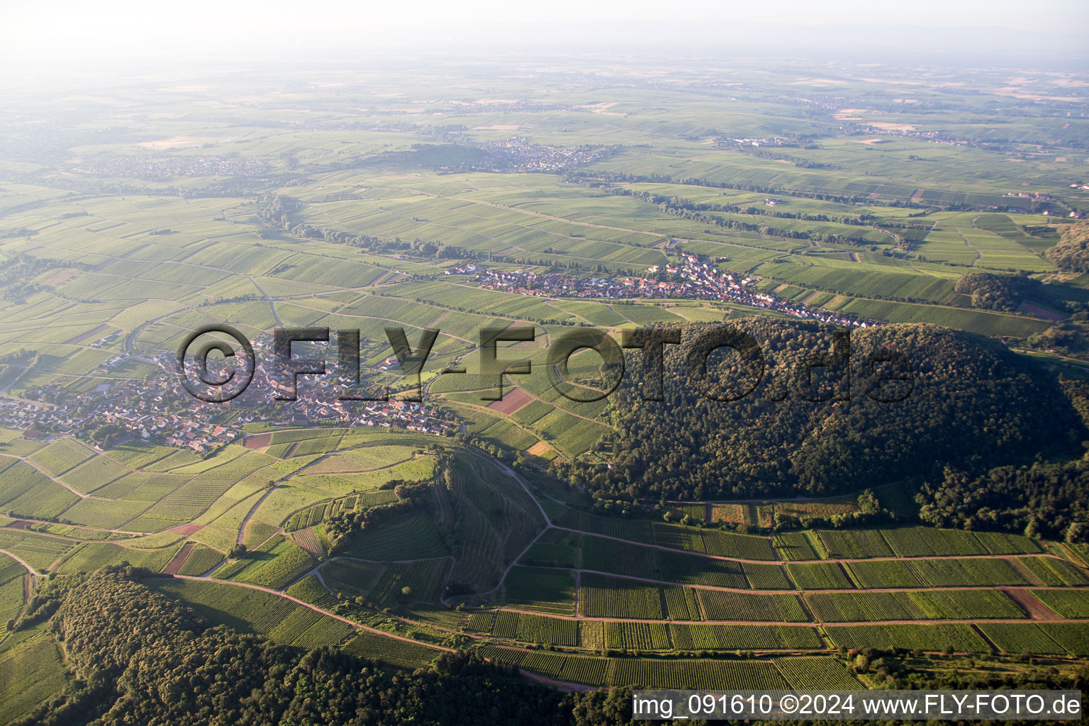 Vue aérienne de Châtaignier à Birkweiler dans le département Rhénanie-Palatinat, Allemagne