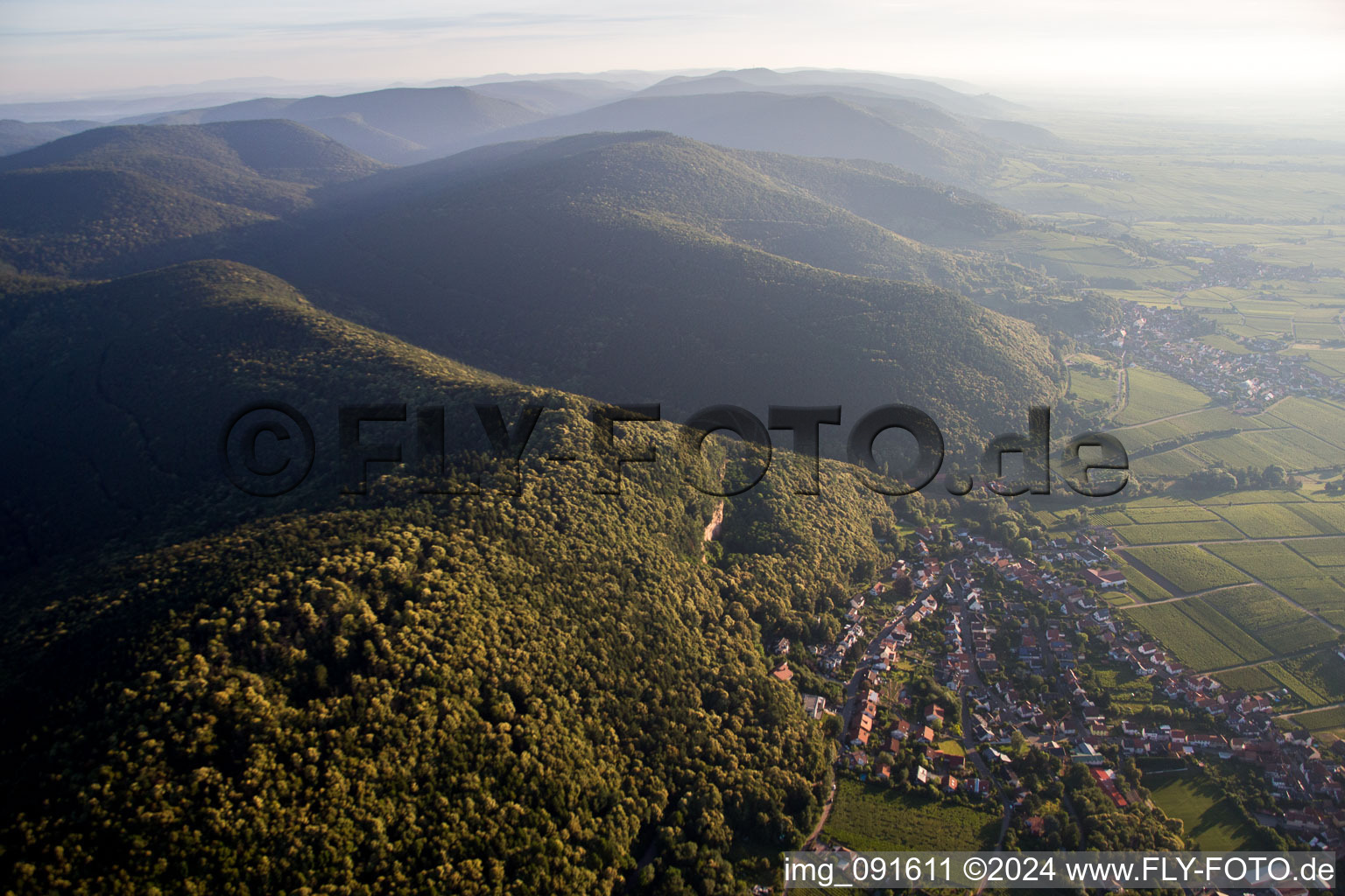 Vue aérienne de Vignobles sur le Haardtrand à Frankweiler dans le département Rhénanie-Palatinat, Allemagne