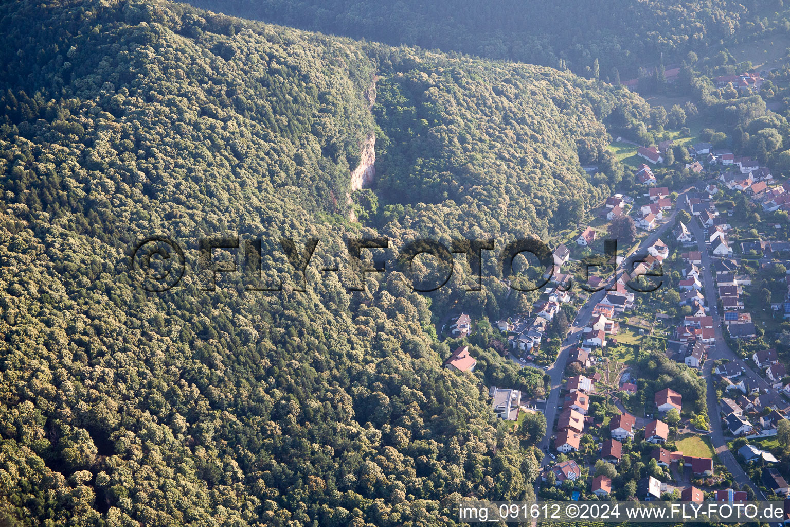 Vue aérienne de Frankweiler dans le département Rhénanie-Palatinat, Allemagne