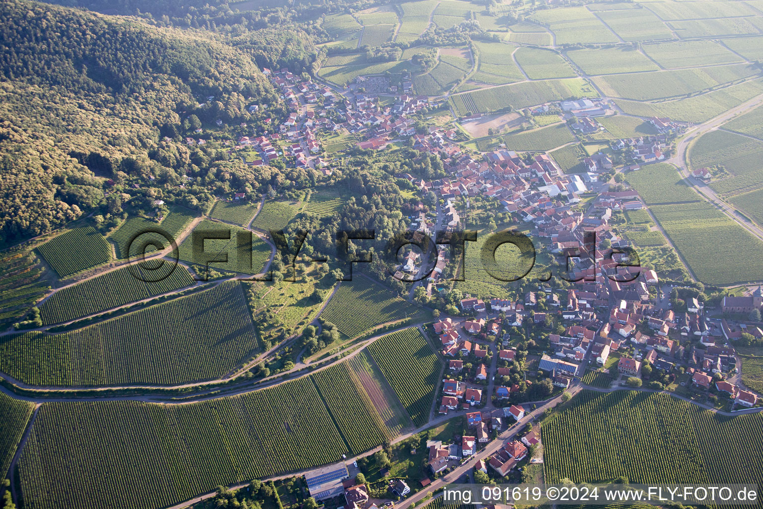 Vue oblique de Gleisweiler dans le département Rhénanie-Palatinat, Allemagne