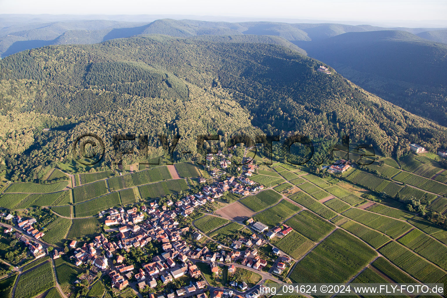 Vue d'oiseau de Weyher in der Pfalz dans le département Rhénanie-Palatinat, Allemagne