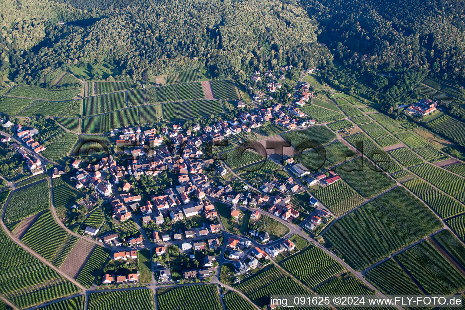 Weyher in der Pfalz dans le département Rhénanie-Palatinat, Allemagne vue du ciel