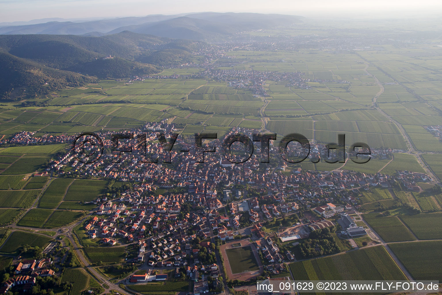 Photographie aérienne de Edenkoben dans le département Rhénanie-Palatinat, Allemagne