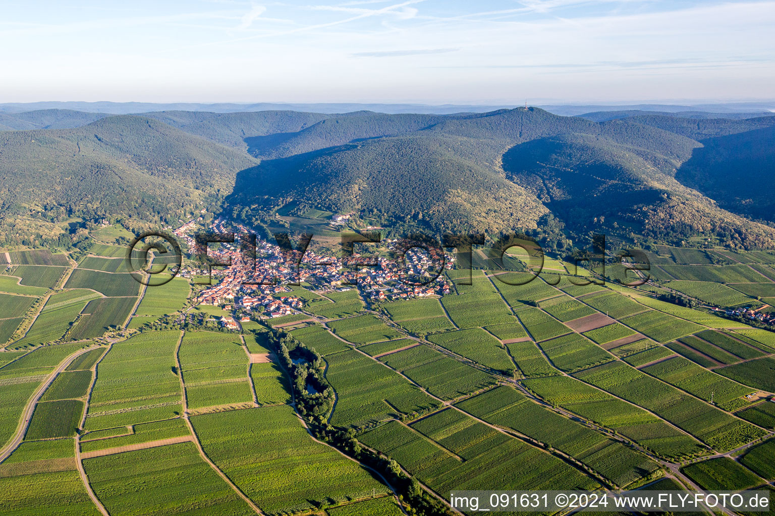 Vue aérienne de Village - vue à la lisière du Haardt de la forêt du Palatinat entre vignes à le quartier SaintMartin in Sankt Martin dans le département Rhénanie-Palatinat, Allemagne