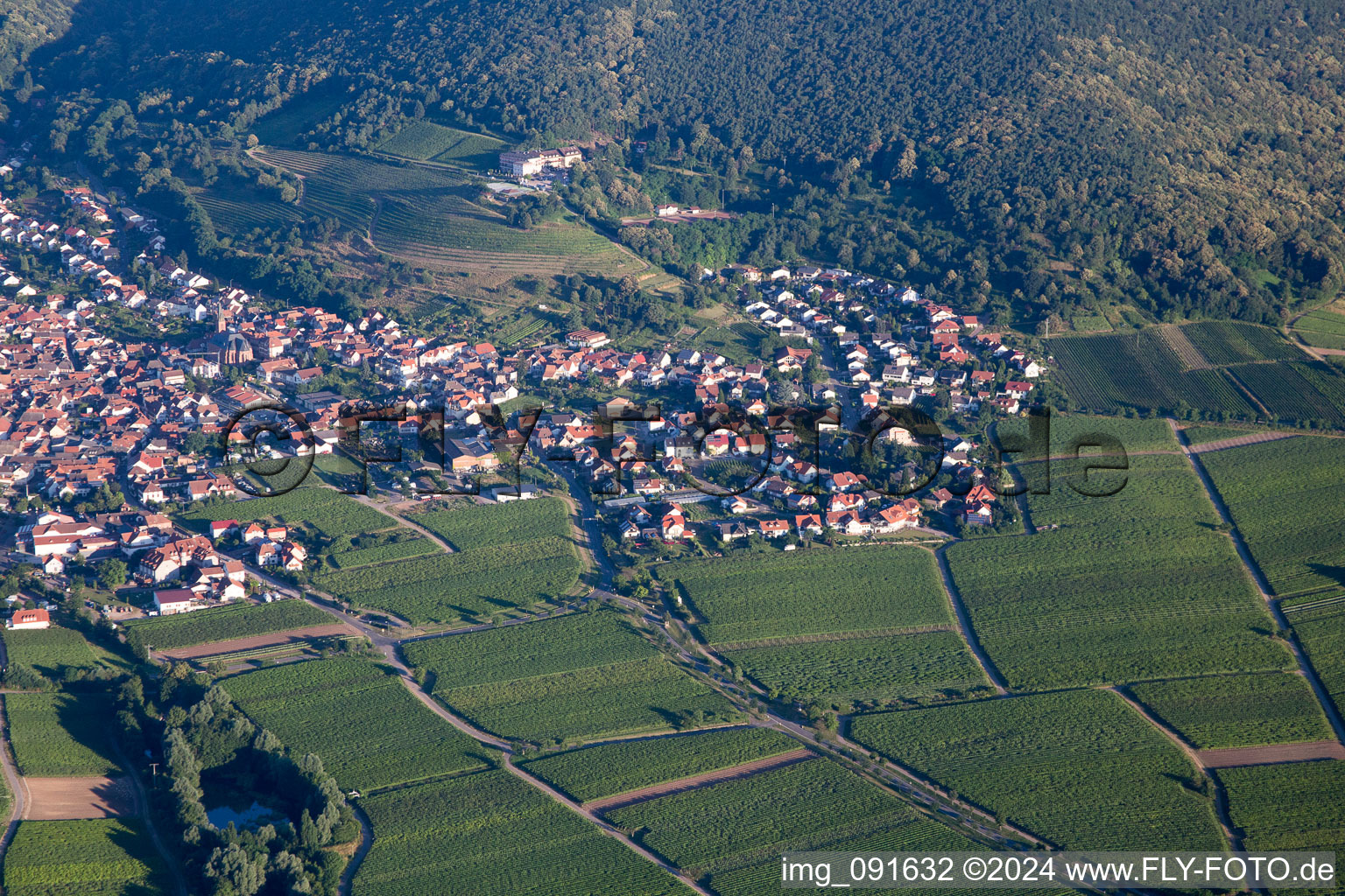 Vue aérienne de Saint-Martin à Sankt Martin dans le département Rhénanie-Palatinat, Allemagne