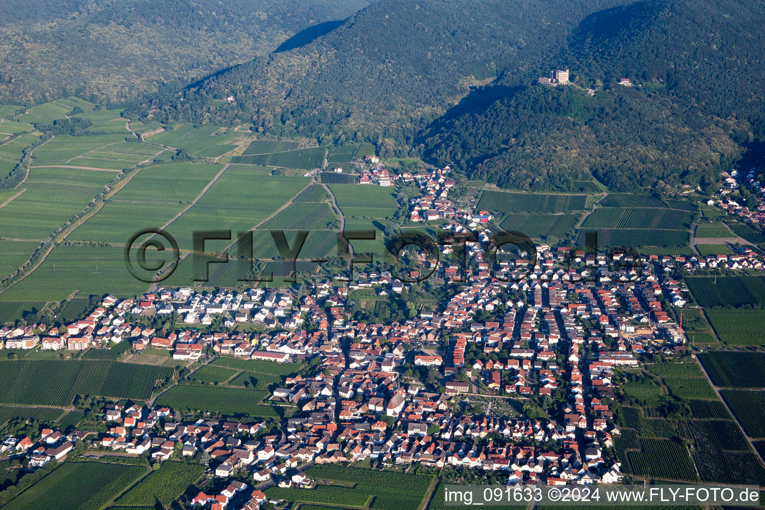 Vue aérienne de Vue sur le village à le quartier Diedesfeld in Neustadt an der Weinstraße dans le département Rhénanie-Palatinat, Allemagne