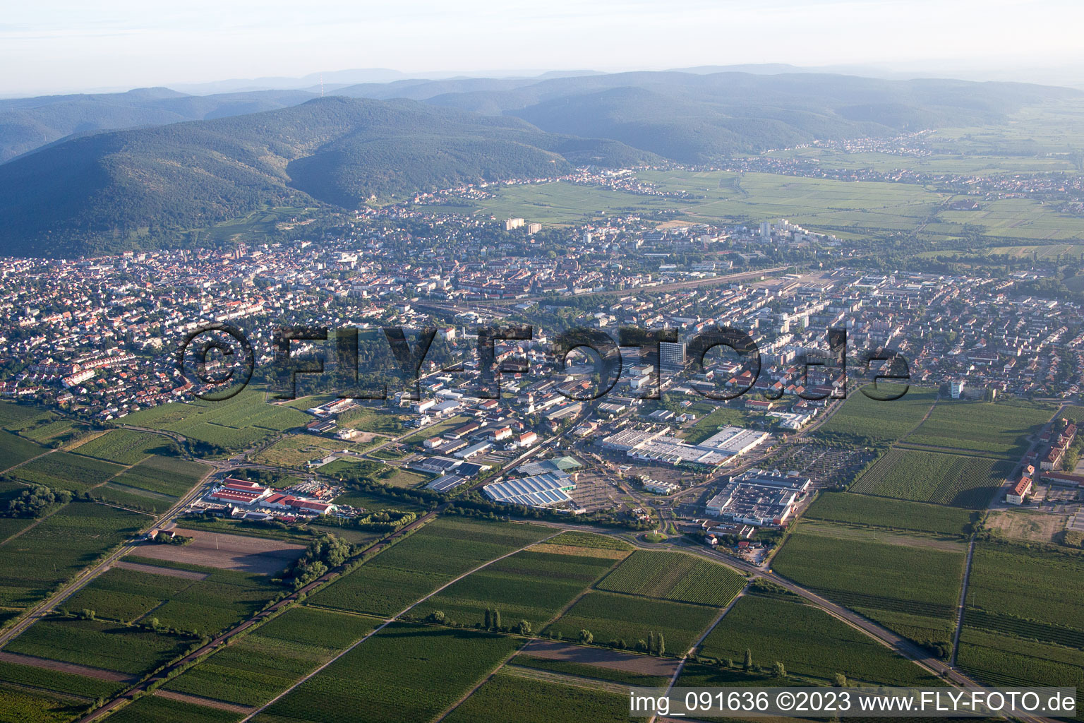 Photographie aérienne de Neustadt an der Weinstraße dans le département Rhénanie-Palatinat, Allemagne