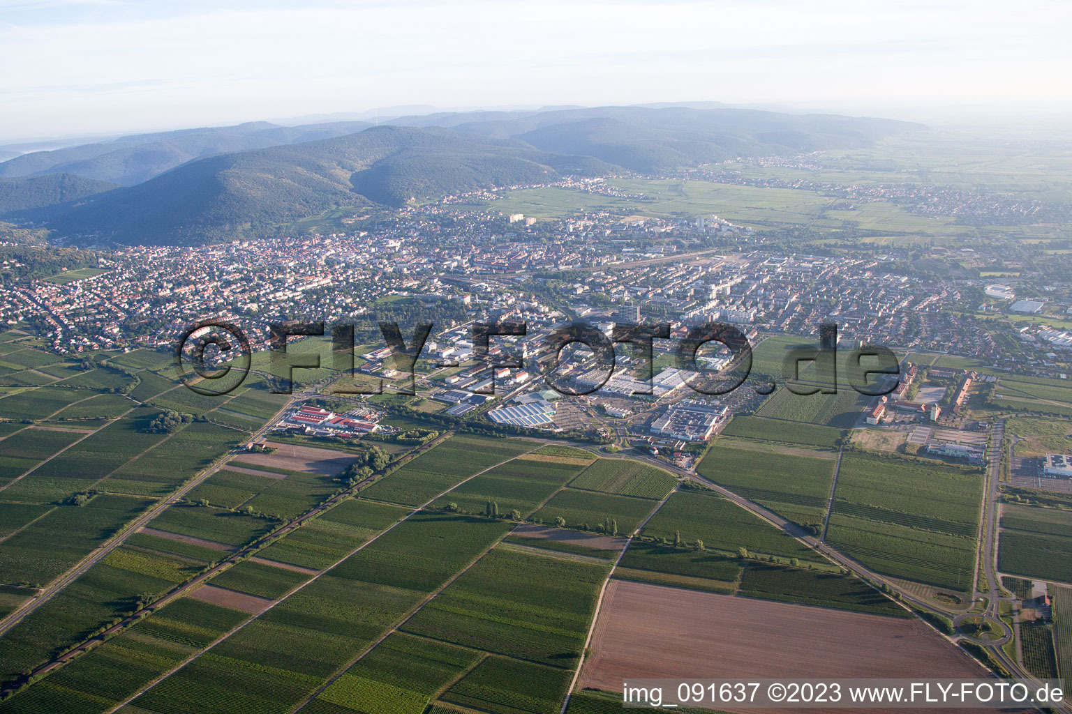 Vue oblique de Neustadt an der Weinstraße dans le département Rhénanie-Palatinat, Allemagne