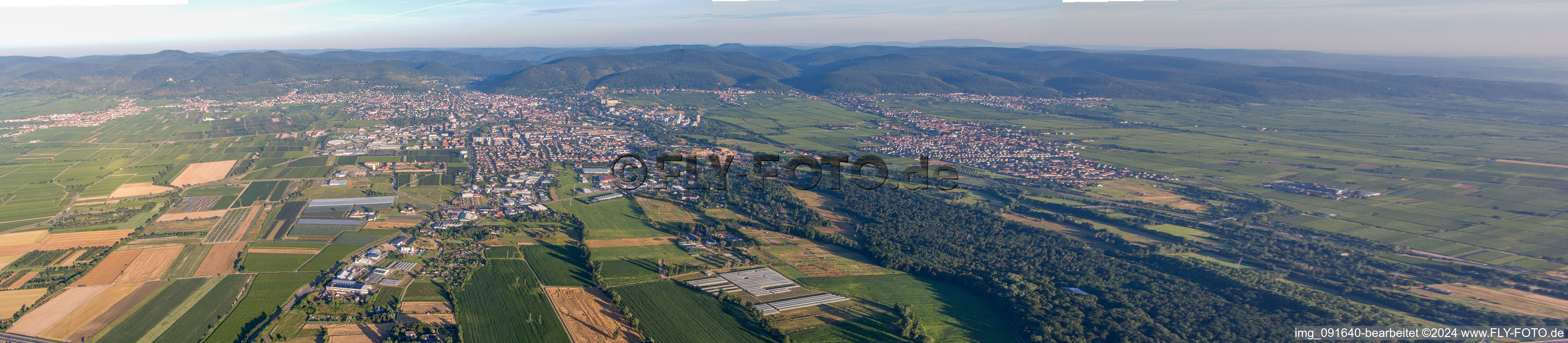 Vue aérienne de Panorama à Neustadt an der Weinstraße dans le département Rhénanie-Palatinat, Allemagne