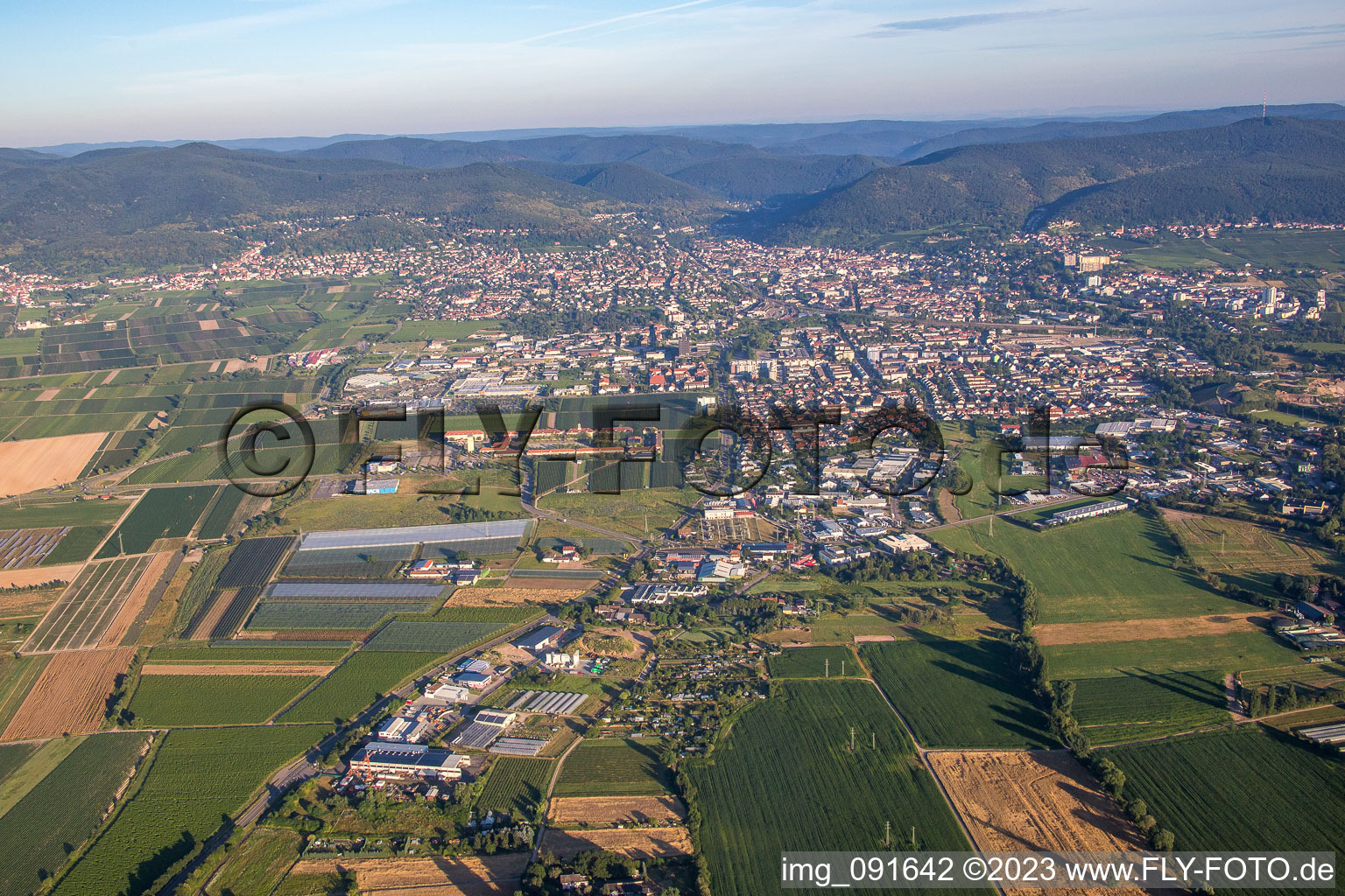 Neustadt an der Weinstraße dans le département Rhénanie-Palatinat, Allemagne vue d'en haut