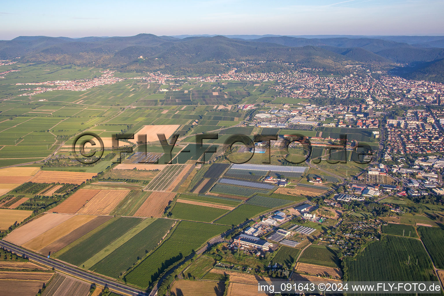 Neustadt an der Weinstraße dans le département Rhénanie-Palatinat, Allemagne depuis l'avion