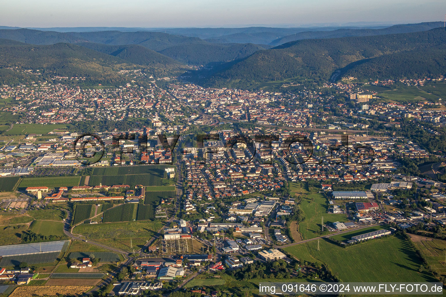 Vue d'oiseau de Neustadt an der Weinstraße dans le département Rhénanie-Palatinat, Allemagne