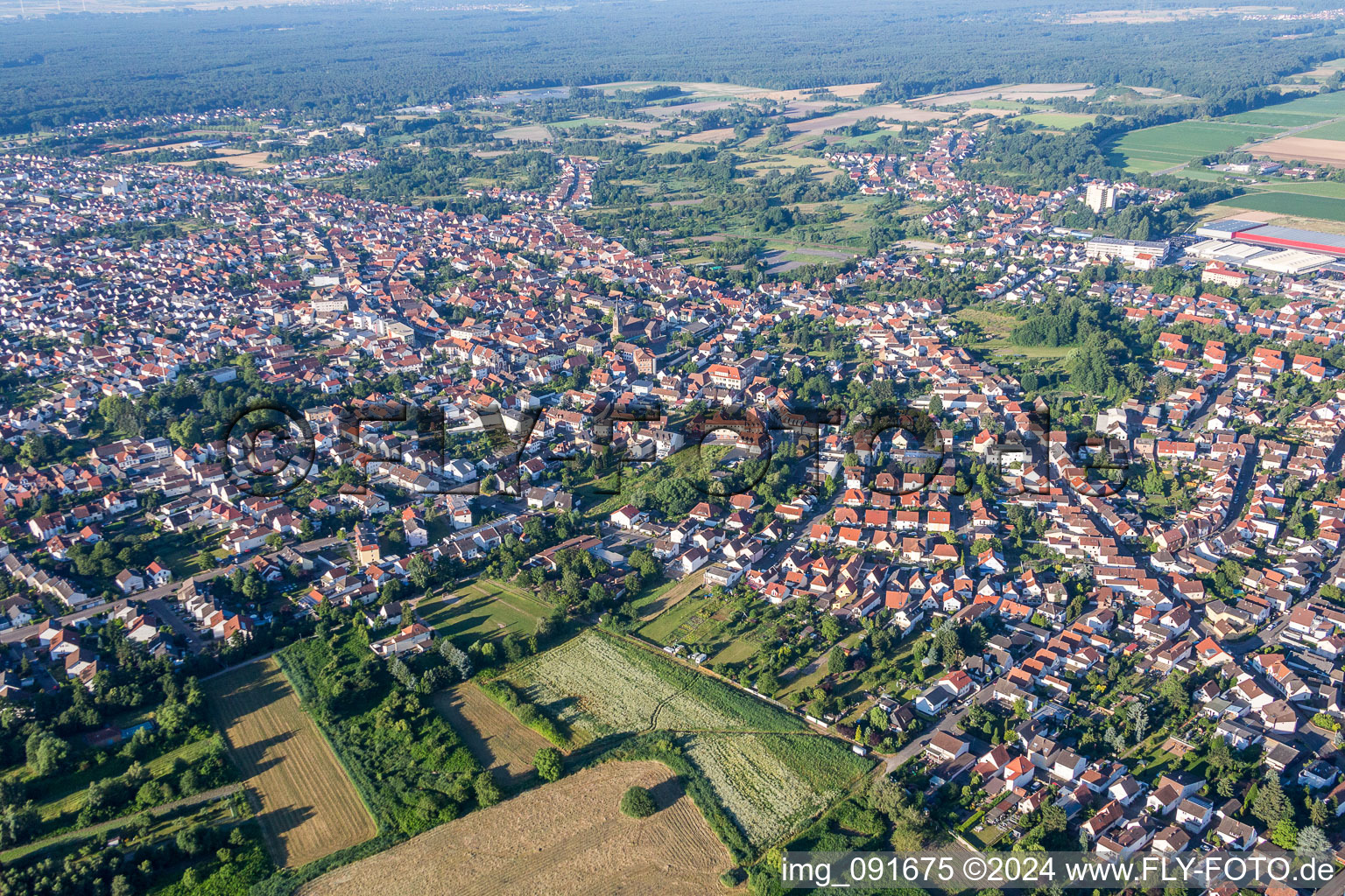 Vue aérienne de Zone urbaine avec périphérie et centre-ville à Schifferstadt dans le département Rhénanie-Palatinat, Allemagne