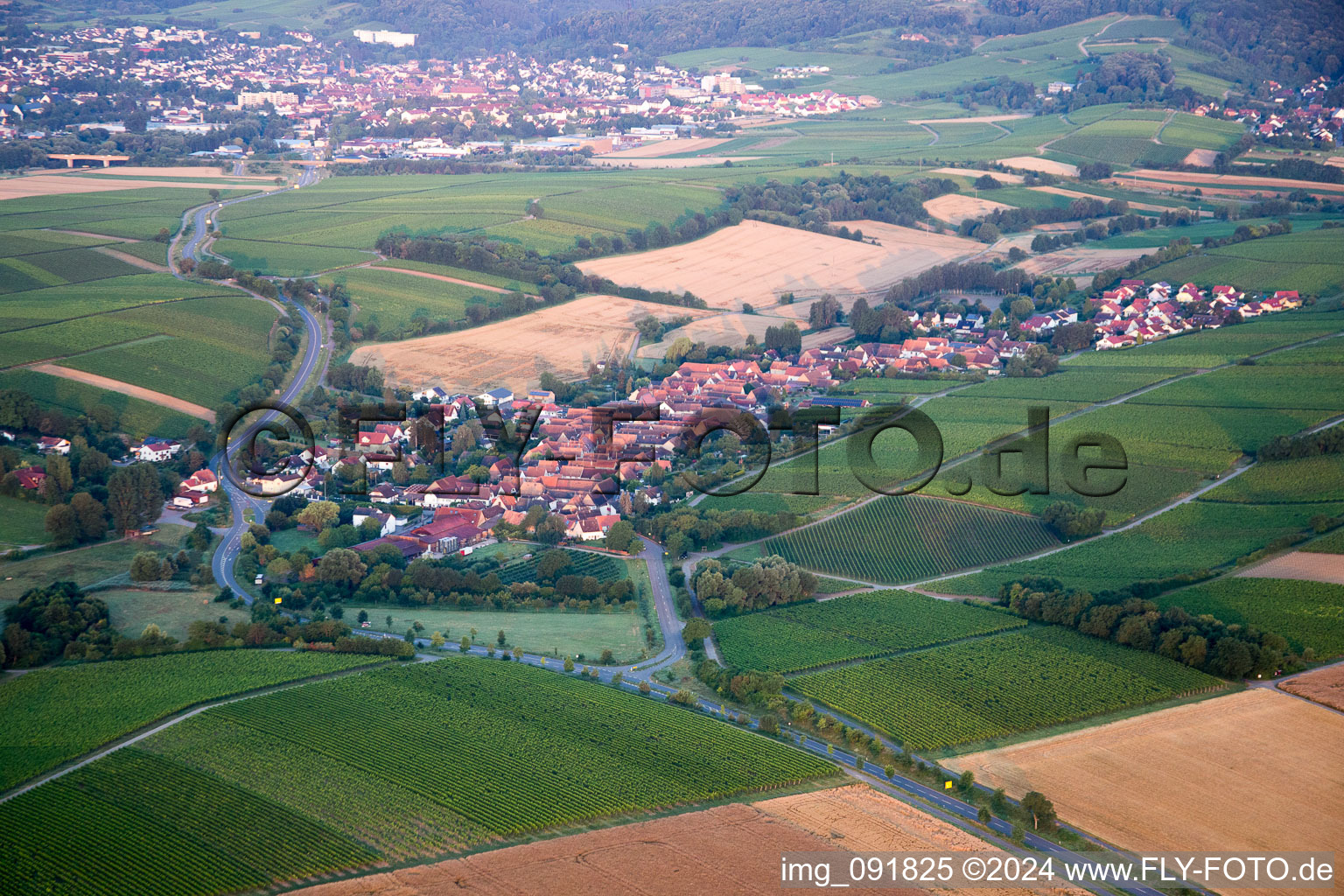 Image drone de Niederhorbach dans le département Rhénanie-Palatinat, Allemagne