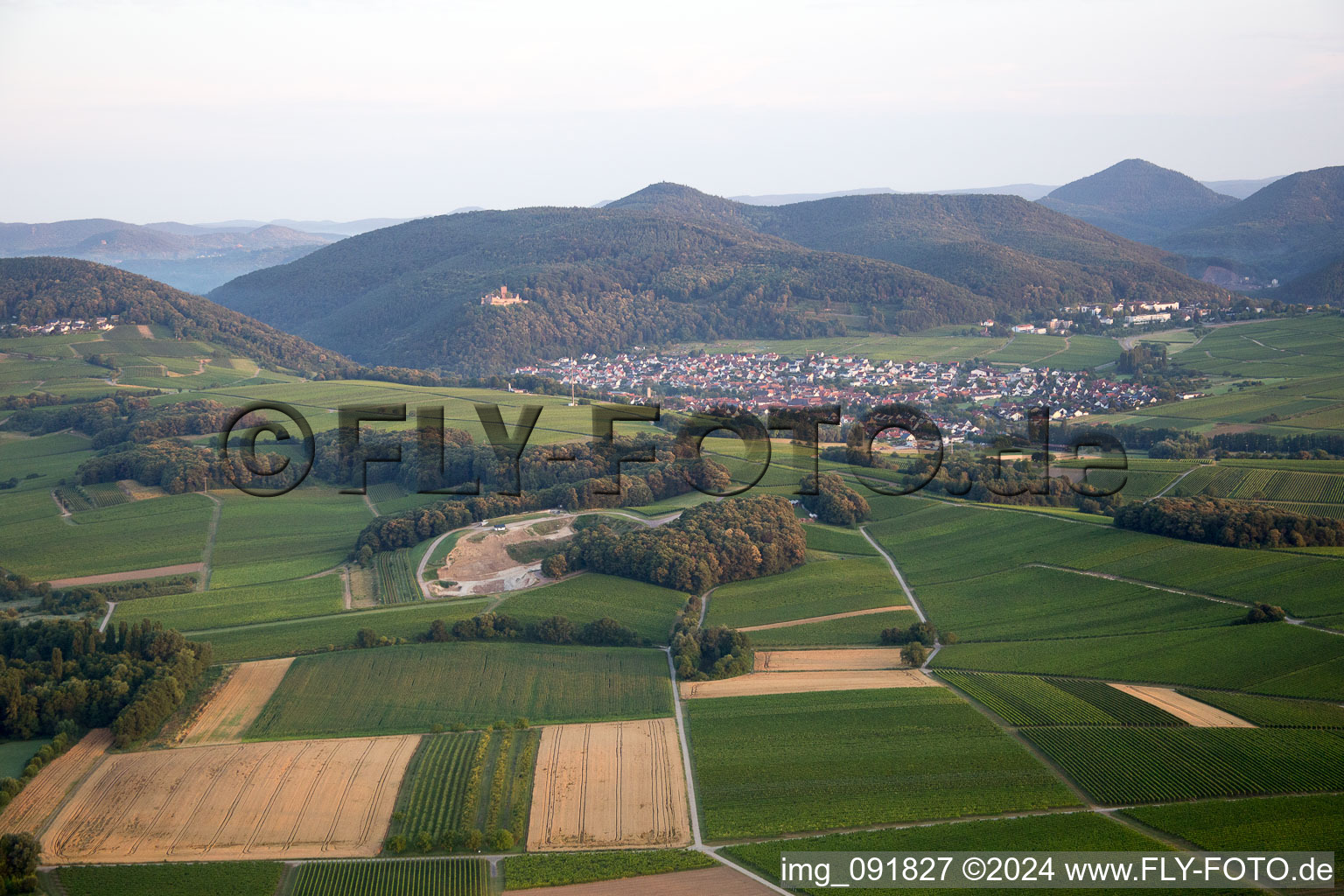 Enregistrement par drone de Klingenmünster dans le département Rhénanie-Palatinat, Allemagne