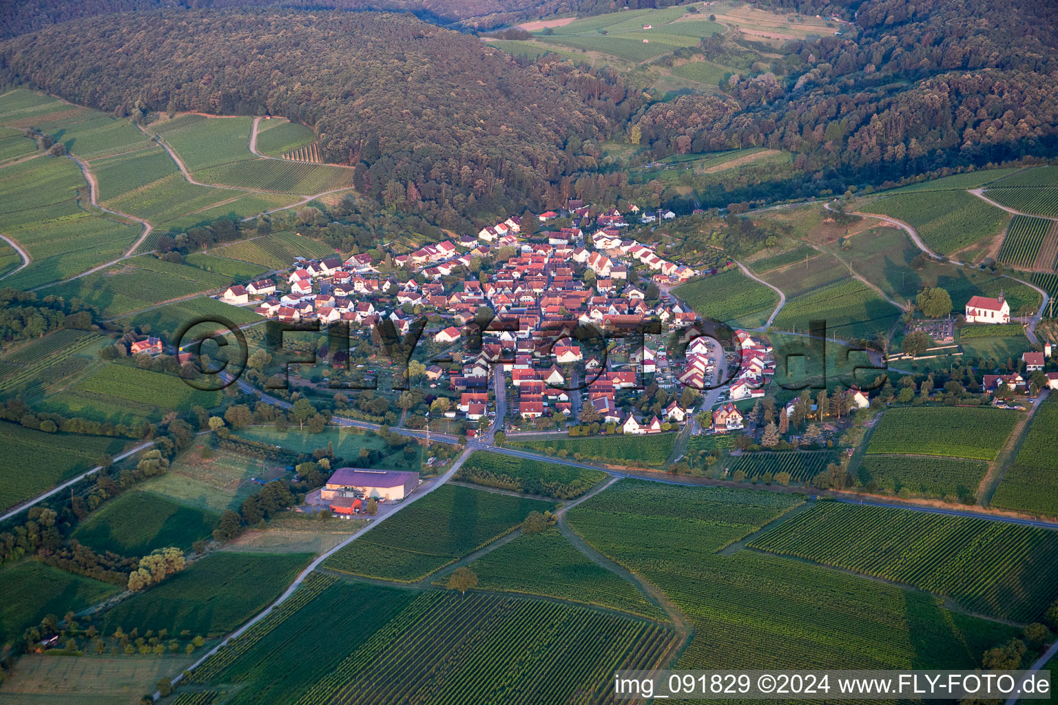 Quartier Gleishorbach in Gleiszellen-Gleishorbach dans le département Rhénanie-Palatinat, Allemagne vue d'en haut