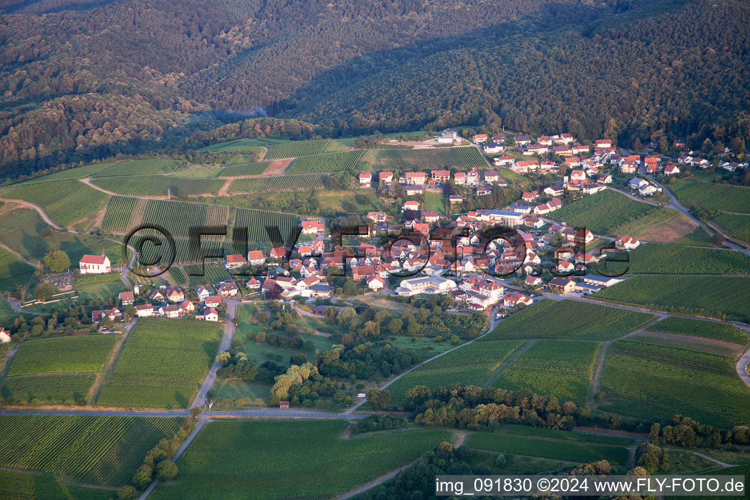 Quartier Gleiszellen in Gleiszellen-Gleishorbach dans le département Rhénanie-Palatinat, Allemagne hors des airs